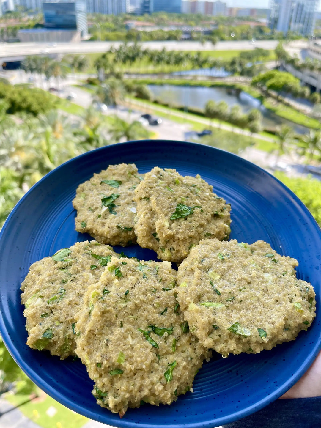 Spinach Quinoa Patties