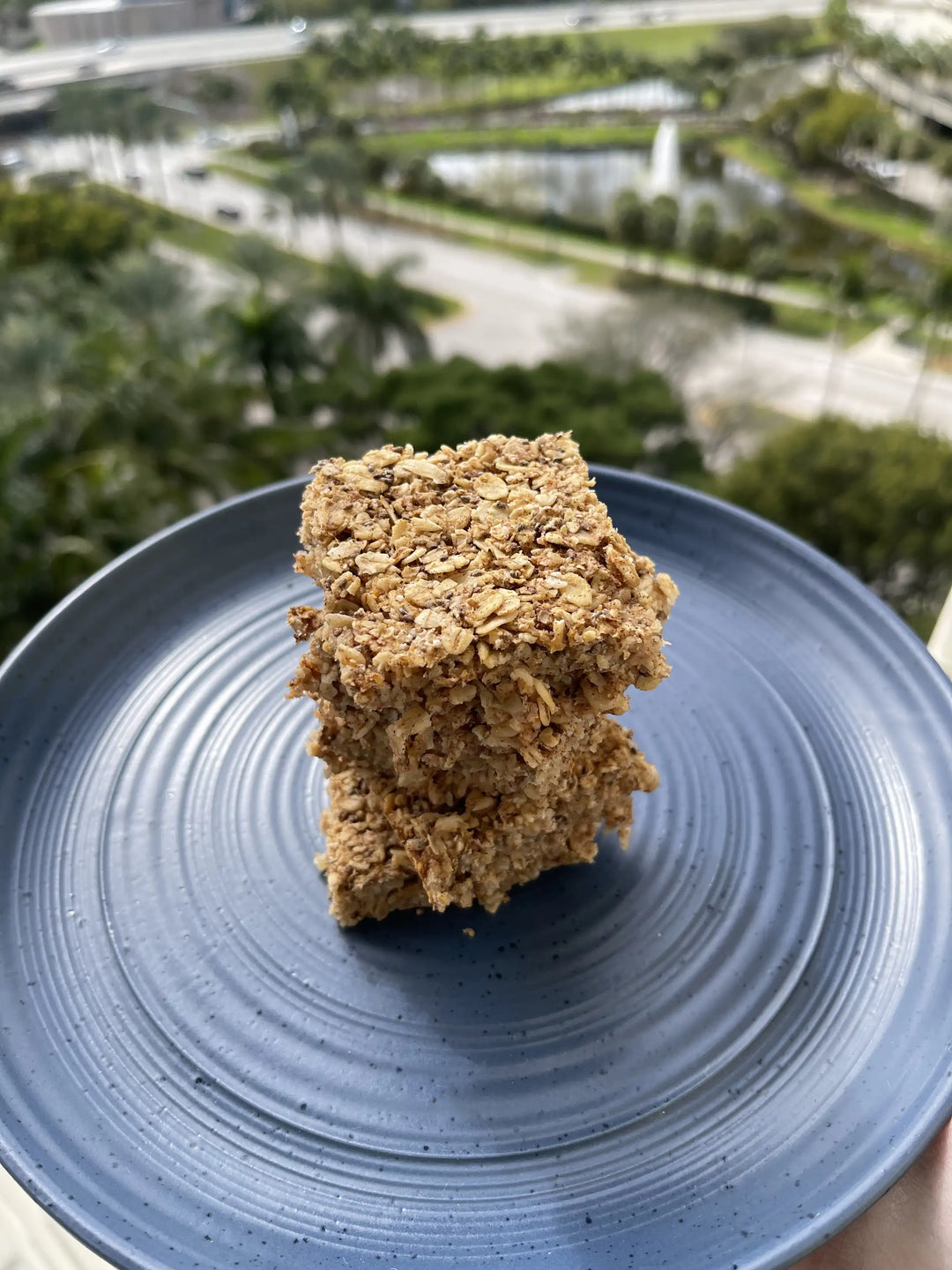 Apple Oat Breakfast Bars