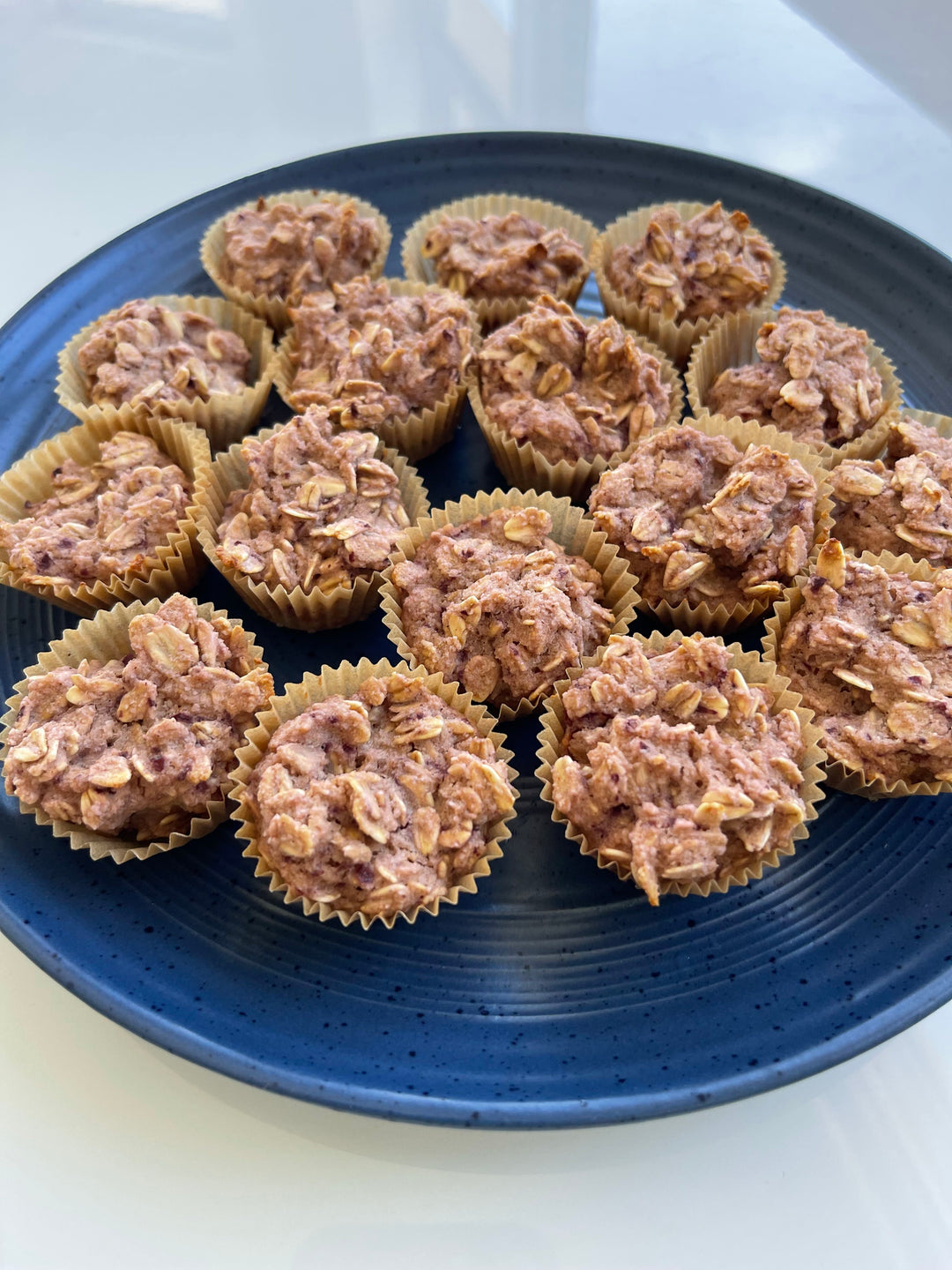 Oatmeal Cherry Minis